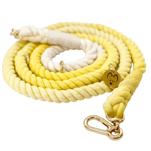 Multifunction Ombré Rope Leash - Plumeria 🌼 - Witty Tail