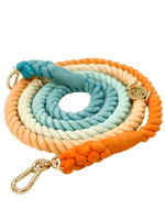 Multifunction Ombré Rope Leash - Sunrise Seashell 🌞🐚 - Witty Tail