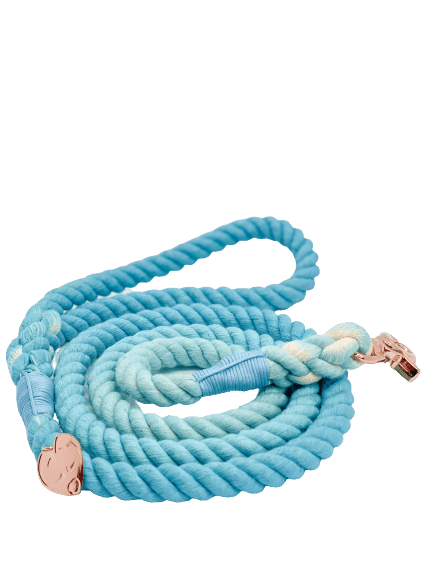 Ombré Rope Leash - Clear Water - Witty Tail