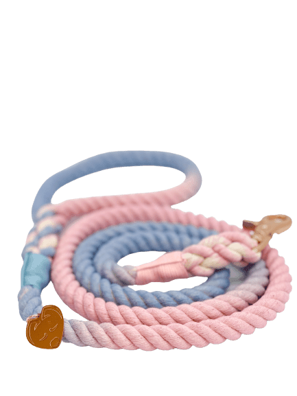 Ombré Rope Leash - Cotton Candy 🍭 - Witty Tail