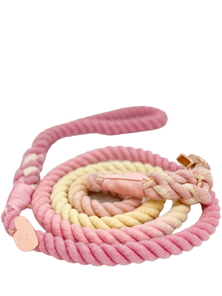 Ombré Rope Leash - Pink Plumeria 🌸 - Witty Tail