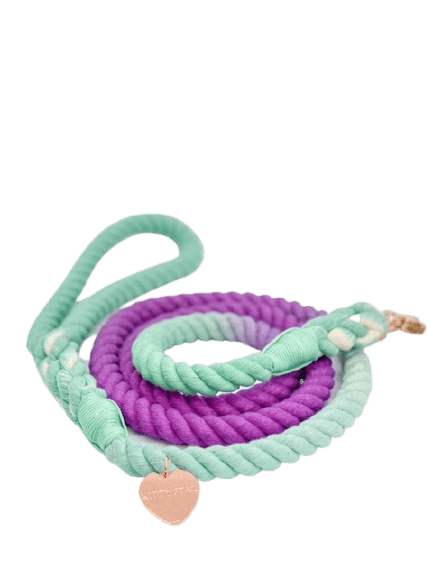 Ombré Rope Leash - Ultraviolet - Witty Tail