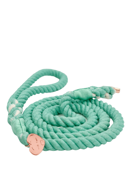 Rope Leash - Mojito - Witty Tail