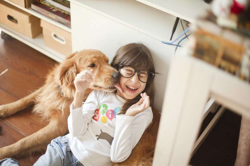 How to get your kids to help take care of the family pet | Witty Tail
