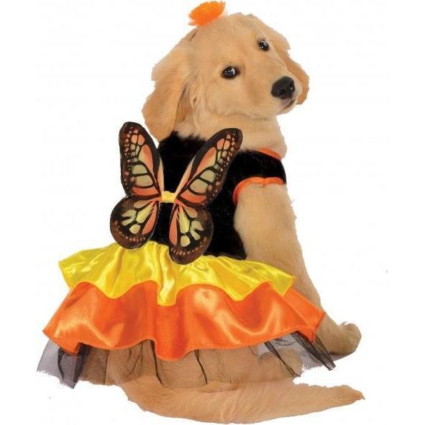 Beautiful Butterfly Pet Costume - Witty Tail