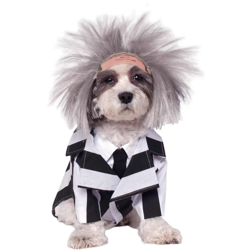 BeetleJuice Pet Costume - Witty Tail