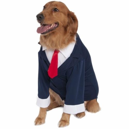 Business Suit Pet Costume - Witty Tail