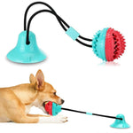 Dog Suction Cup Tug Toy - Witty Tail