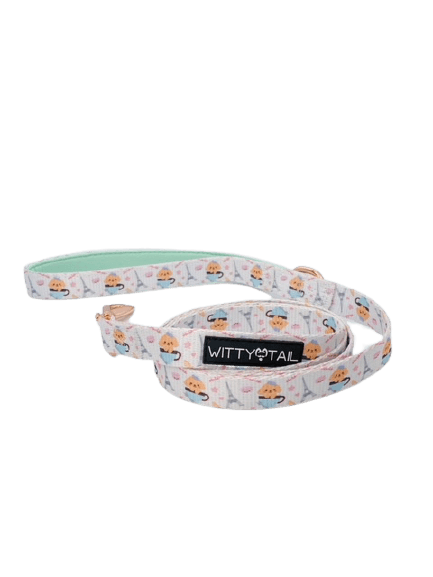 Fabric Leash - "Pooch In Paris" - Witty Tail