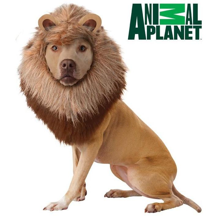 Lion Pet Costume - Witty Tail