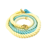 Multifunction Ombré Rope Leash - Blue Hawaii 🌊 - Witty Tail