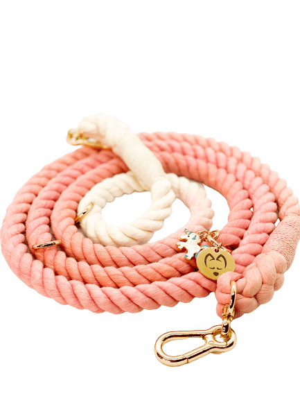 Multifunction Ombré Rope Leash - Pink Unicorn 🦄 - Witty Tail