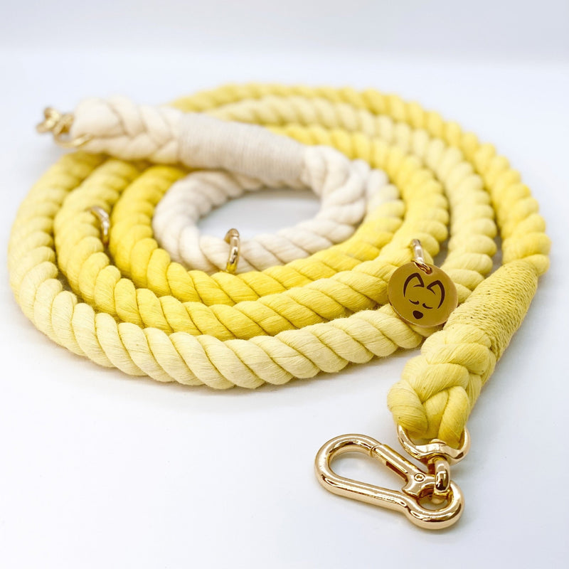Multifunction Ombré Rope Leash - Plumeria 🌼 - Witty Tail