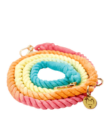 Multifunction Ombré Rope Leash - Sherbet 🍨 - Witty Tail