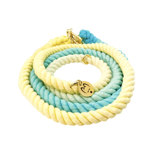 Multifunction Ombré Rope Leash - Sherbet 🍨 - Witty Tail