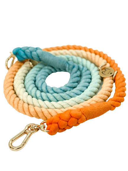 Multifunction Ombré Rope Leash - Sunrise Seashell 🌞🐚 - Witty Tail