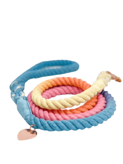 Ombré Rope Leash - Aloha Rainbow 🌈 - Witty Tail