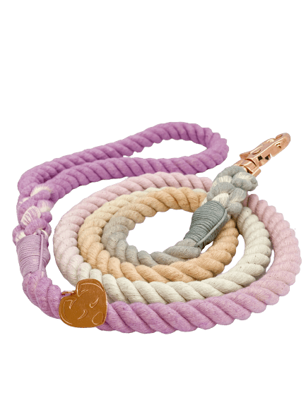 Ombré Rope Leash - Amethyst - Witty Tail