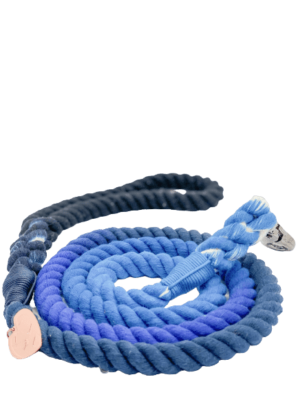 Ombré Rope Leash - Azure 💙 - Witty Tail