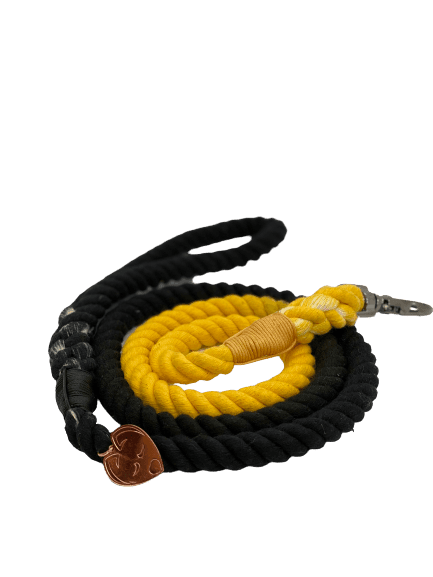 Ombré Rope Leash - Bumble Bee - Witty Tail