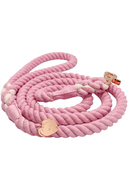 Ombré Rope Leash - Dusty Pink - Witty Tail