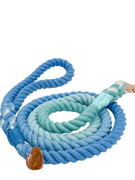 Ombré Rope Leash - Hawaiian Wave 🌊 - Witty Tail