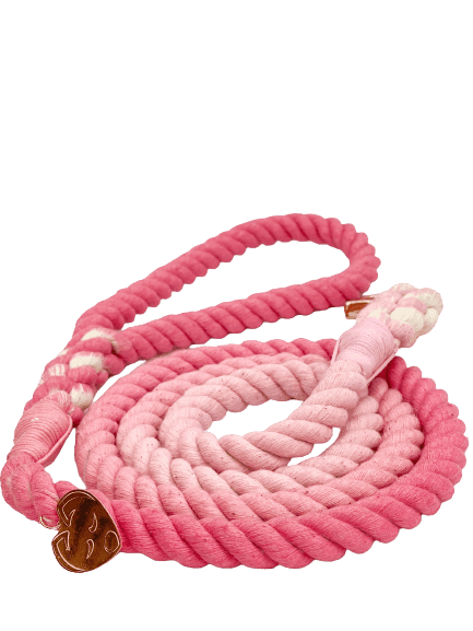 Ombré Rope Leash - Pink Passion 💕 - Witty Tail