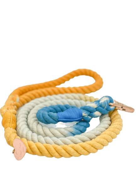 Ombré Rope Leash - Sunrise Seashell - Witty Tail