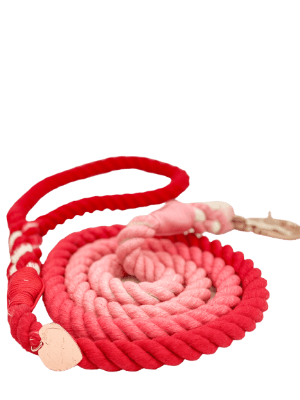 Ombré Rope Leash - Sweetheart 💕 - Witty Tail