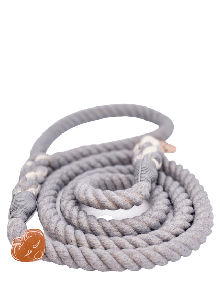 Rope Leash - Moonlight - Witty Tail
