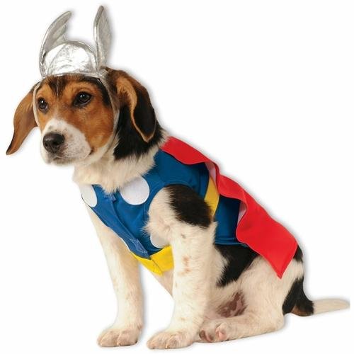 Thor Pet Costume - Witty Tail