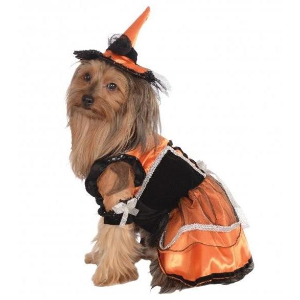 Witch Pet Costume - Witty Tail